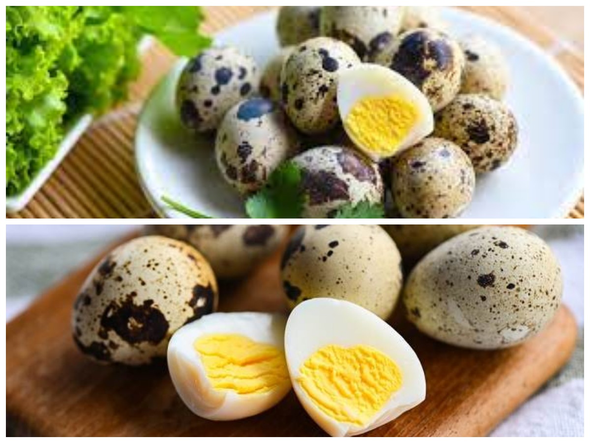Kaya Nutrisi, Ini Manfaat Telur Puyuh untuk Kesehatan Tubuh Anda