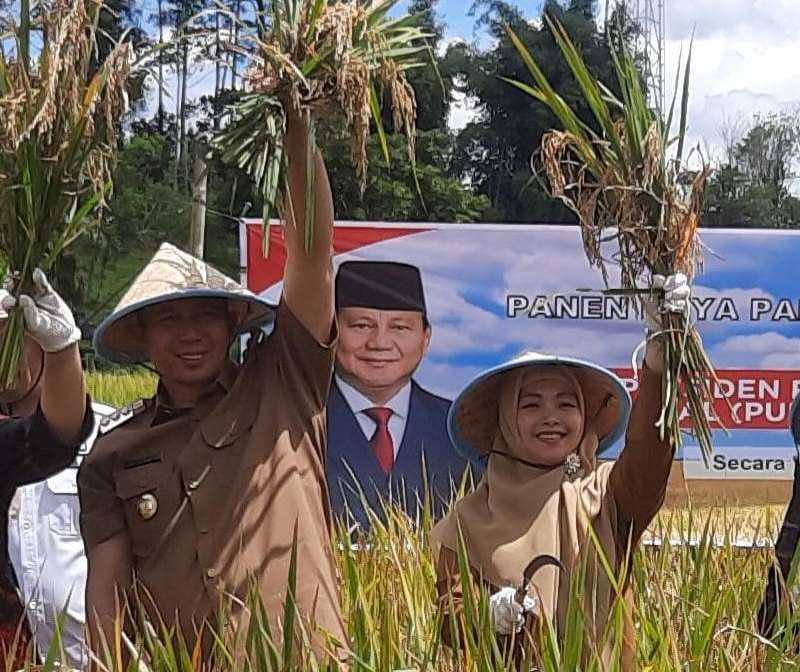 Wujudkan Asta Cita Prabowo, Komitmen Tingkatkan Produktivitas Pertanian di Pagar Alam