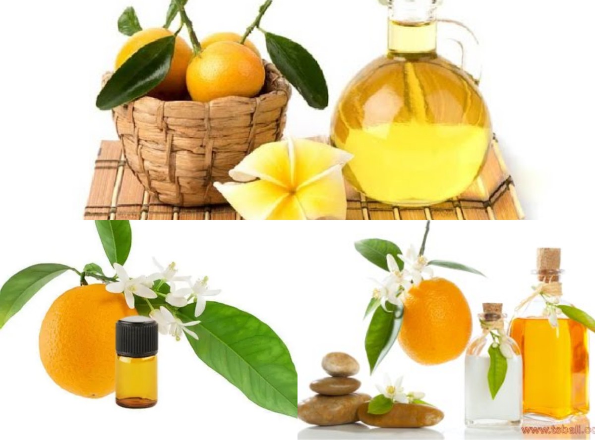 Neroli oil, Dari Bunga Pohon Jeruk Berjenis Citrus Aurantium, Manfaat Untuk Kecantikan dan Kesehatan!