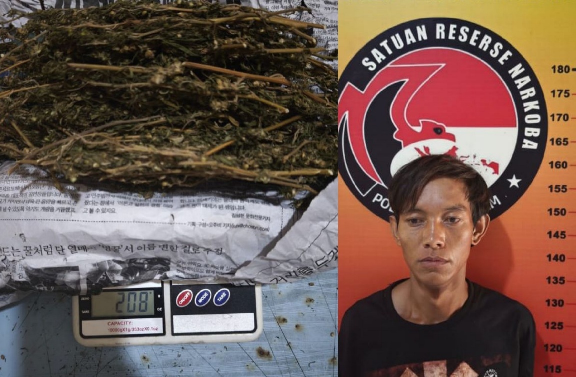 Buruh Nyambi Ngedar Ganja, Ditangkap Dijalan Lintas Pagar Alam - Empat Lawang﻿