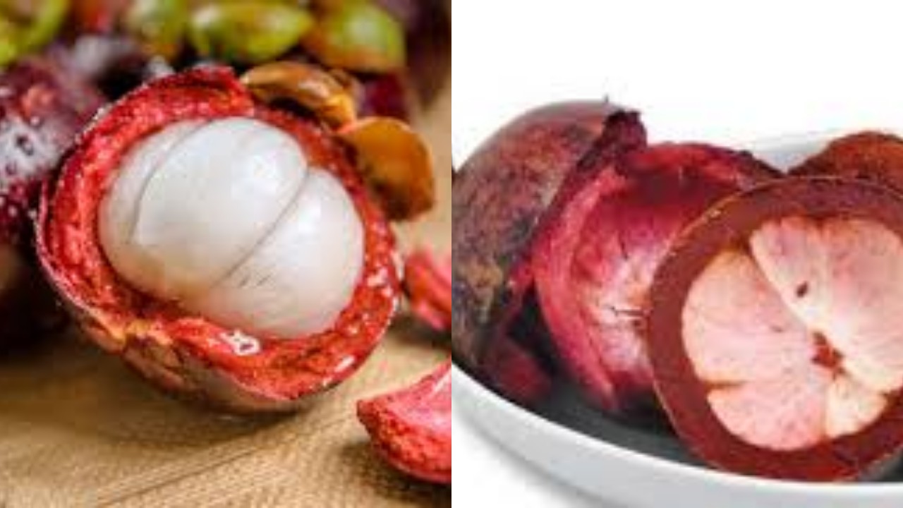 Rahasia Sehat dari Kulit Manggis: Manfaat Luar Biasa dan Cara Mengonsumsinya!