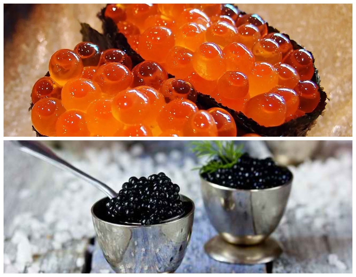Hidangan Mewah yang Bergizi: Manfaat Kaviar untuk Kesehatan Anda
