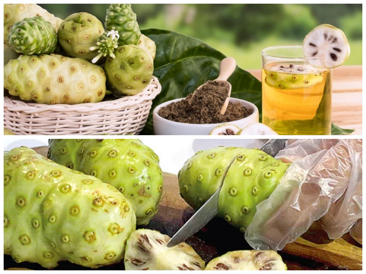 7 Manfaat Buah Pace bagi Kesehatan Tubuh: Rahasia Herbal Alami yang Kaya Khasiat!