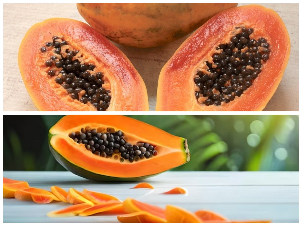 Rahasia Tersembunyi di Balik Biji Pepaya: Deretan Manfaat Dahsyat untuk Kesehatan