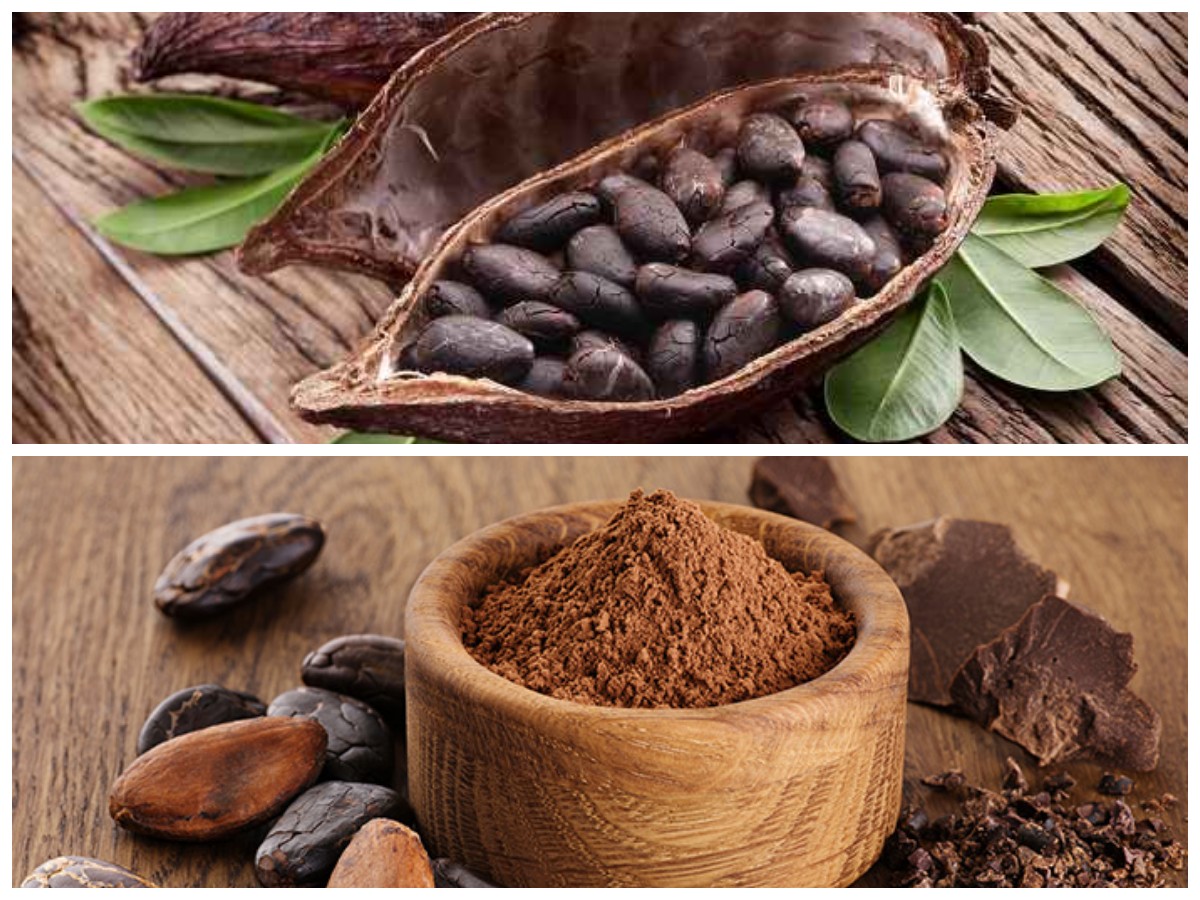 Manfaat Kakao bagi Kesehatan: Dari Perlindungan Jantung hingga Peningkat Mood Alami!