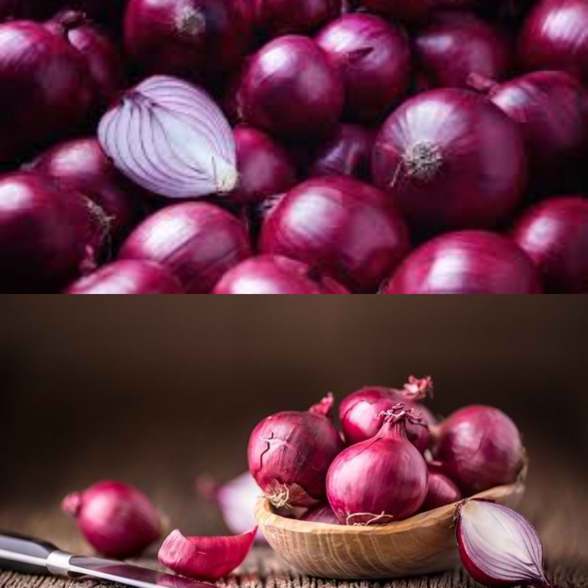 Manfaat Bawang Merah yang Baik untuk Kesehatan Tubuh!