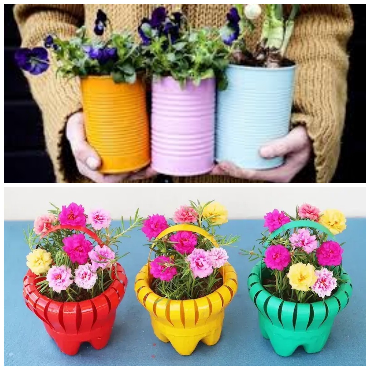 Sulap Botol Bekas Jadi Pot Bunga Unik, Ide Kreatif untuk Hunian Lebih Asri