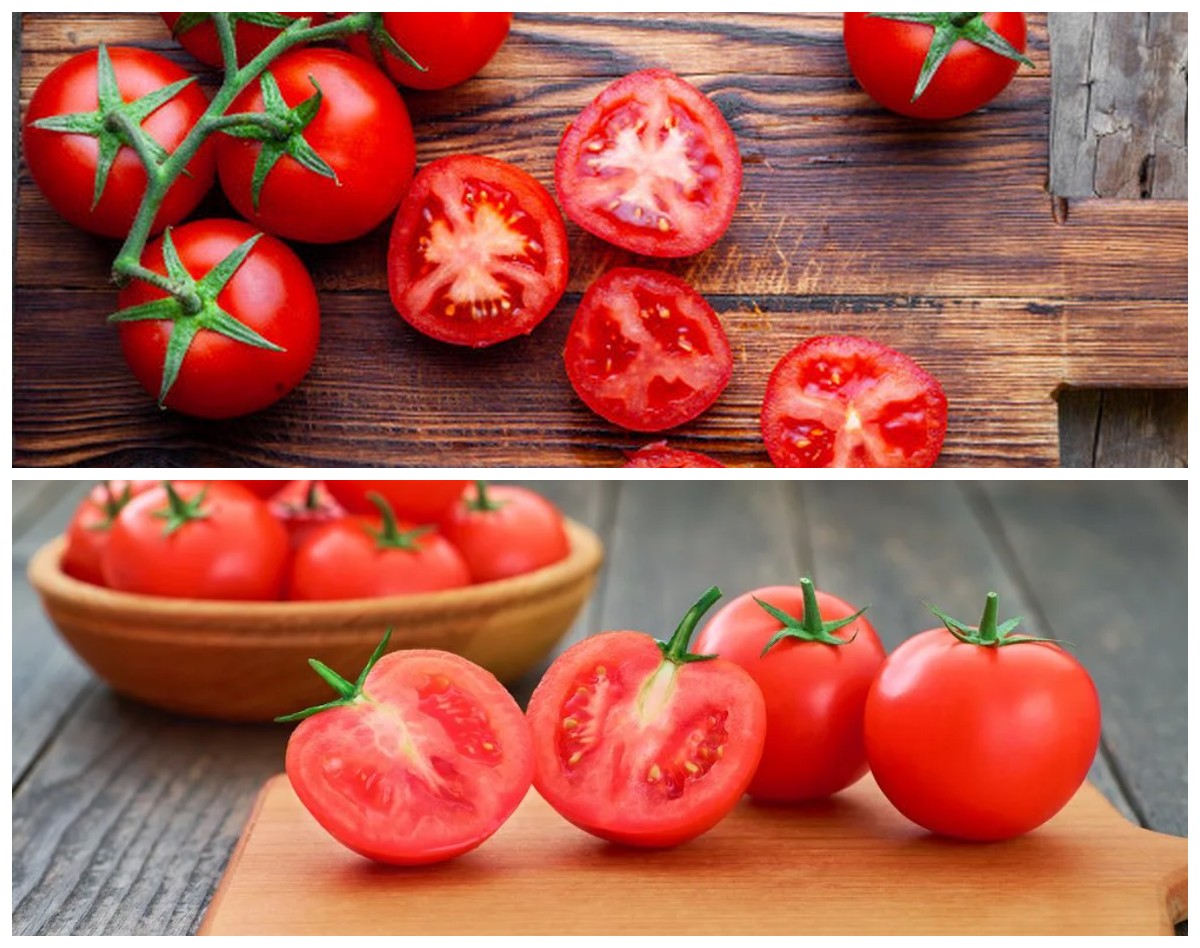 Manfaat Tomat bagi Kesehatan Tubuh: Sumber Nutrisi Kaya Antioksidan untuk Mendukung Hidup Lebih Sehat!