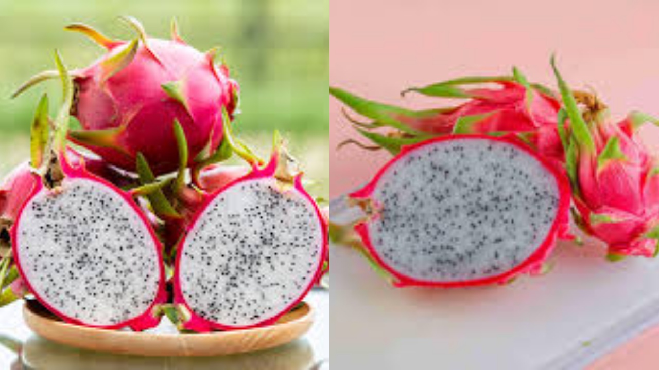 Mencegah Penuaan Dini Teryata Ini Guys Manfaat Dari Buah Naga Putih Untuk Kesehatan Kulit!