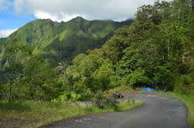 Spesies Langka, Tapi Bisa Ditemukan Di Gunung Rinjani, Hewan apa Itu?