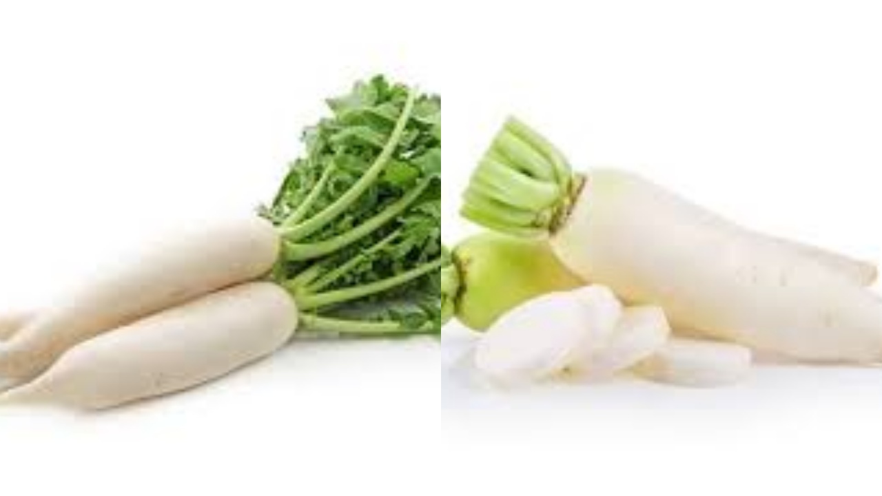 Perlu Kalian Ketahui Inilah 8 Manfaat Lobak Putih Untuk Kesehatan Tubuh!