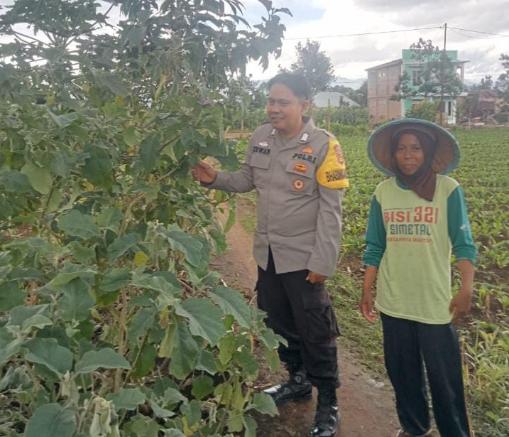 Dukung Ketahanan Pangan Melalui Sambang BKTM