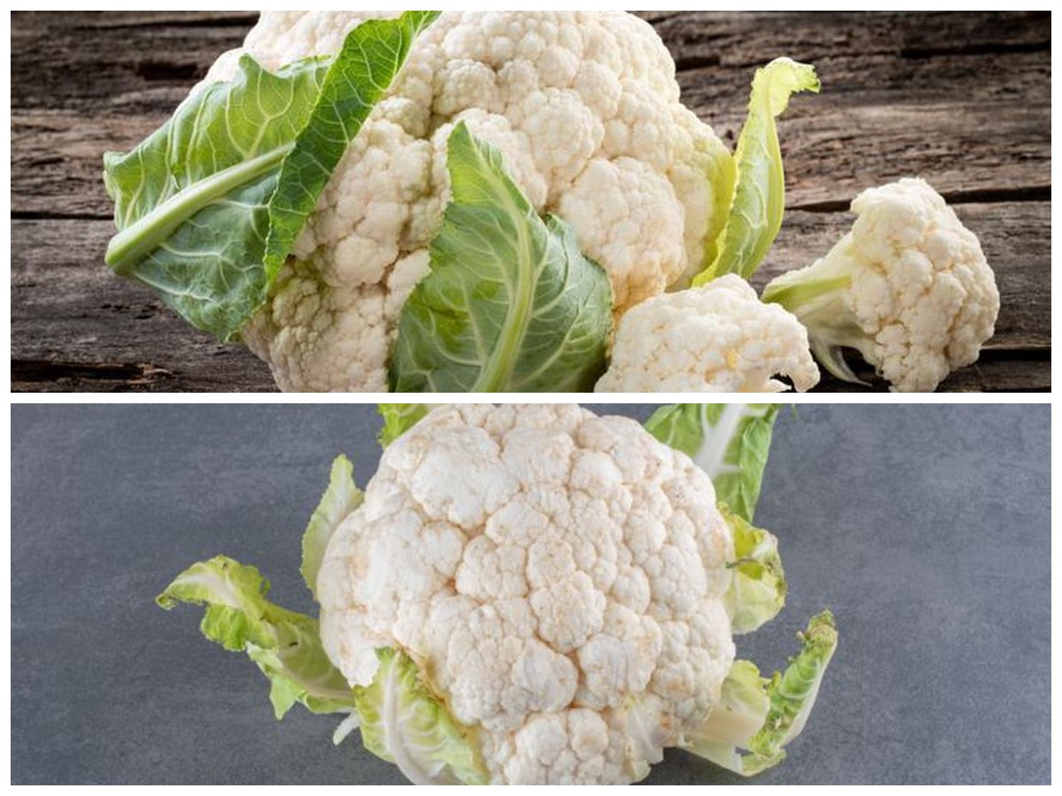 Kembang Kol, Si Superfood Rendah Kalori yang Kaya Manfaat untuk Tubuh!