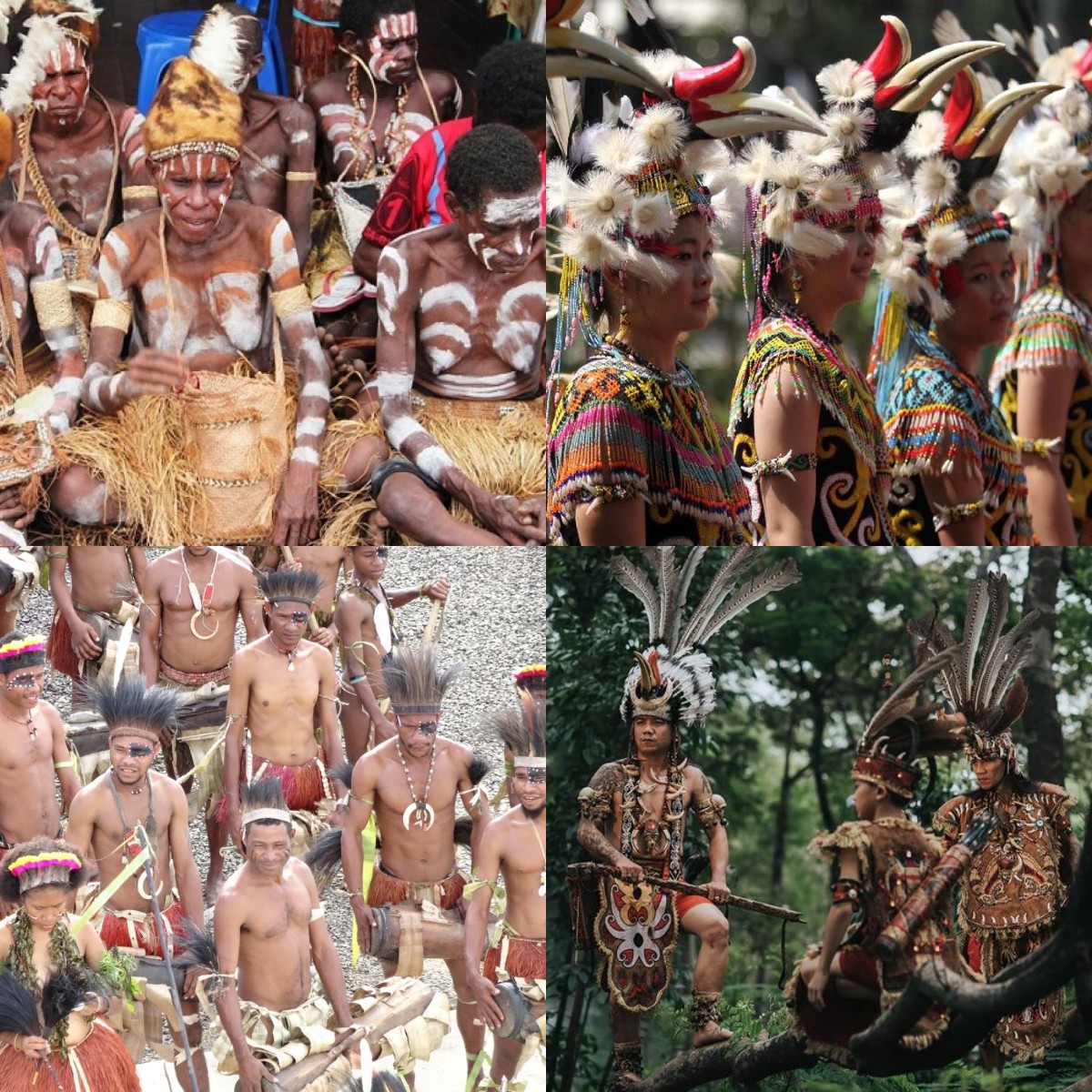 Eksplorasi Kaya Akan Warisan Budaya! Inilah Perbandingan antara Suku Papua dan Suku Kalimantan Yang Wajib Dike