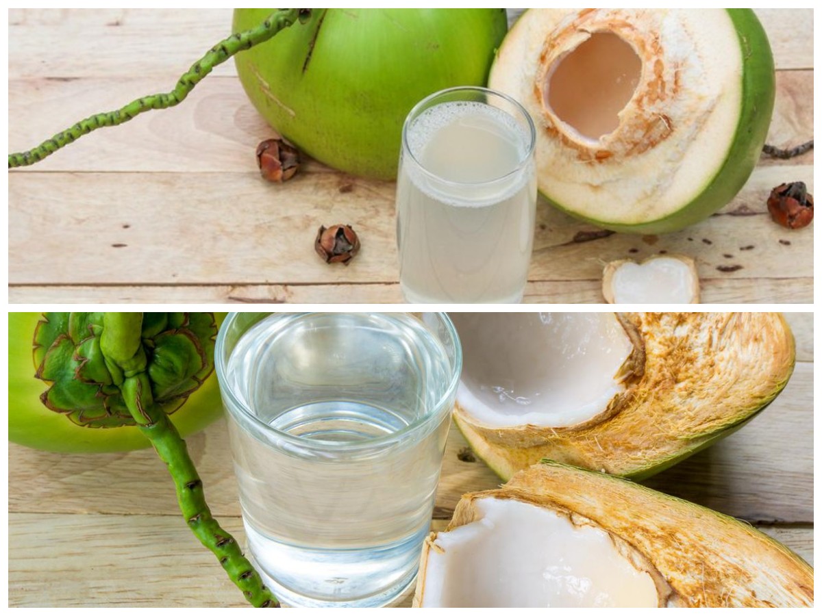  Khasiat Air Kelapa Muda untuk Ibu Hamil: Segar, Menutrisi, dan Mendukung Kesehatan Selama Kehamilan