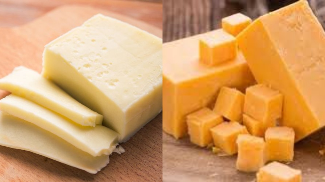 Yuk Simak! Berbagai Jenis Keju dan Manfaatnya untuk Kesehatan
