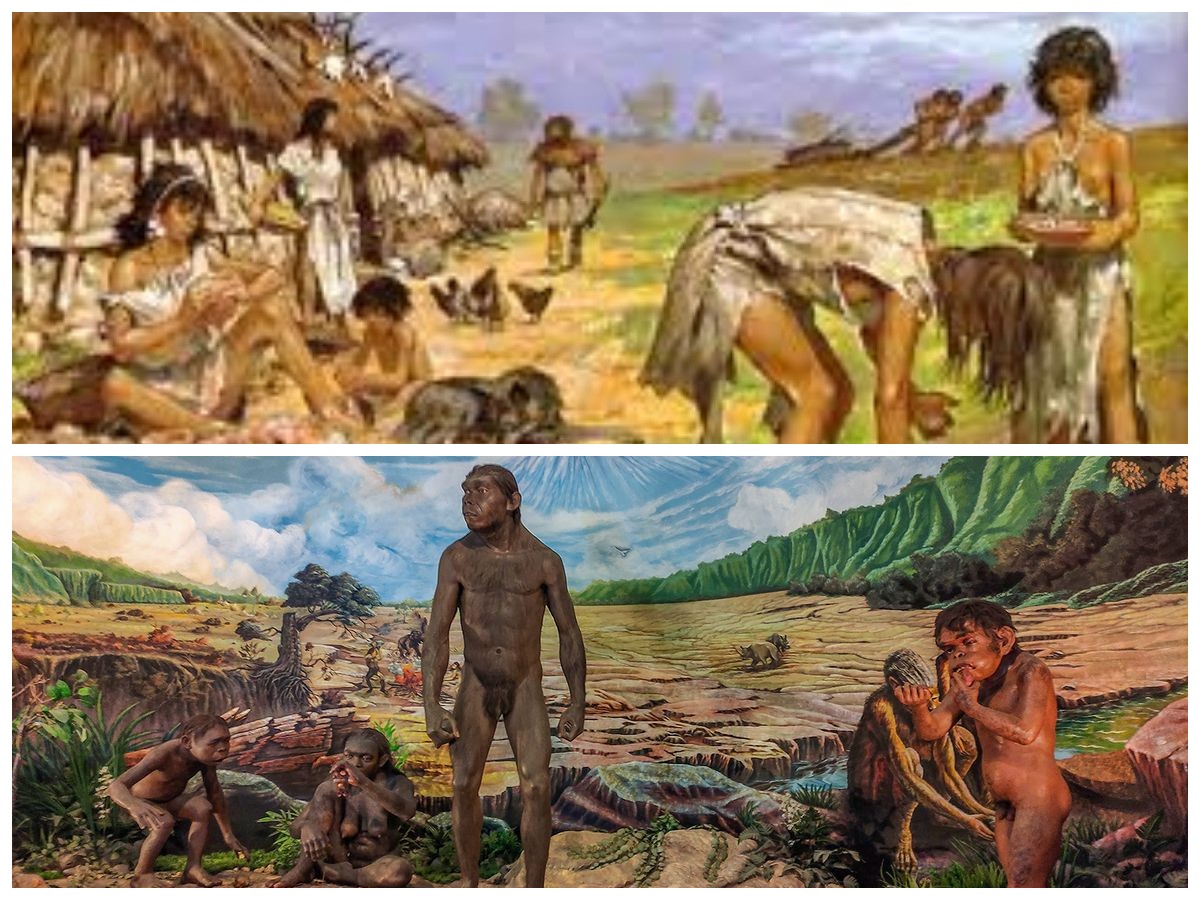Mengungkap Jejak Kehidupan Homo Erectus Soloensis, Manusia Purba Asal Jawa yang Mendunia