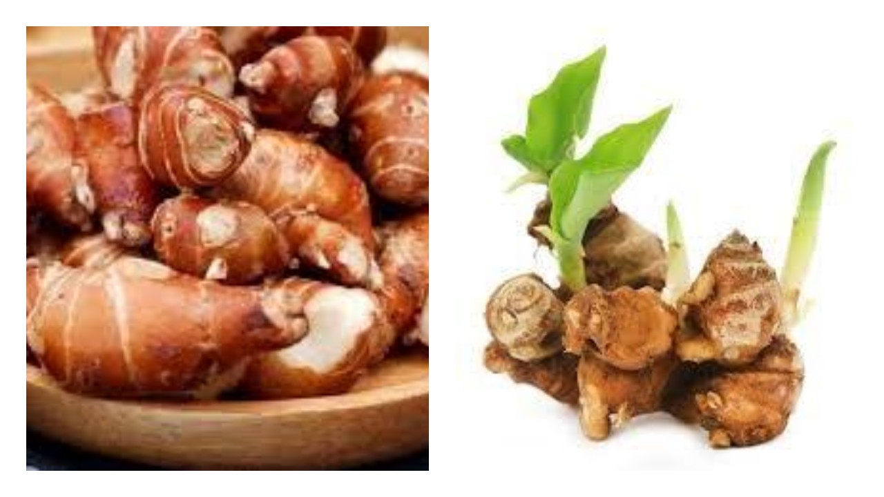 6 Manfaat Kencur untuk Kesehatan: Bisa Bikin Hengkang Asam Urat?