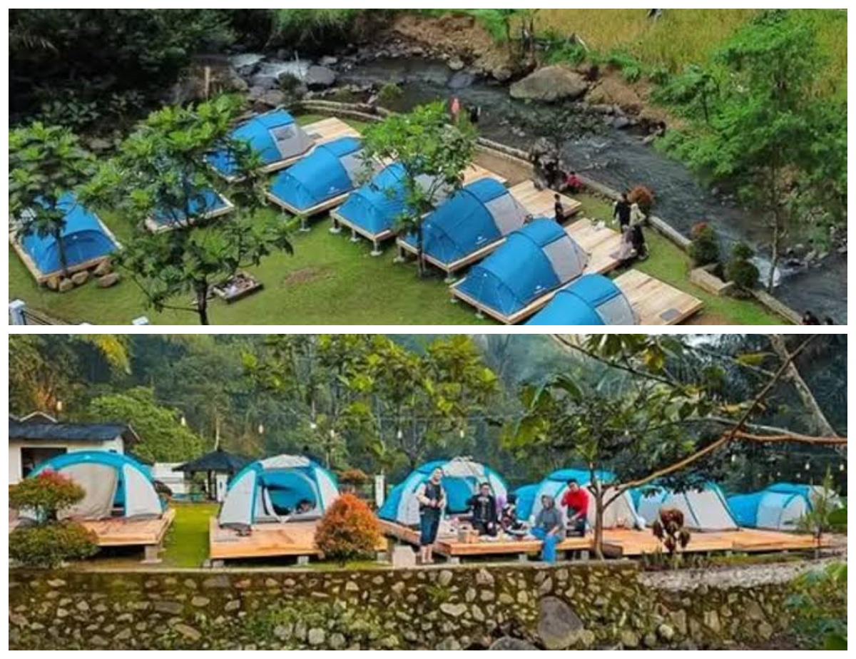 Suasana Asri Muara Jambu, Spot Camping Seru di Dekat Sawah Hijau