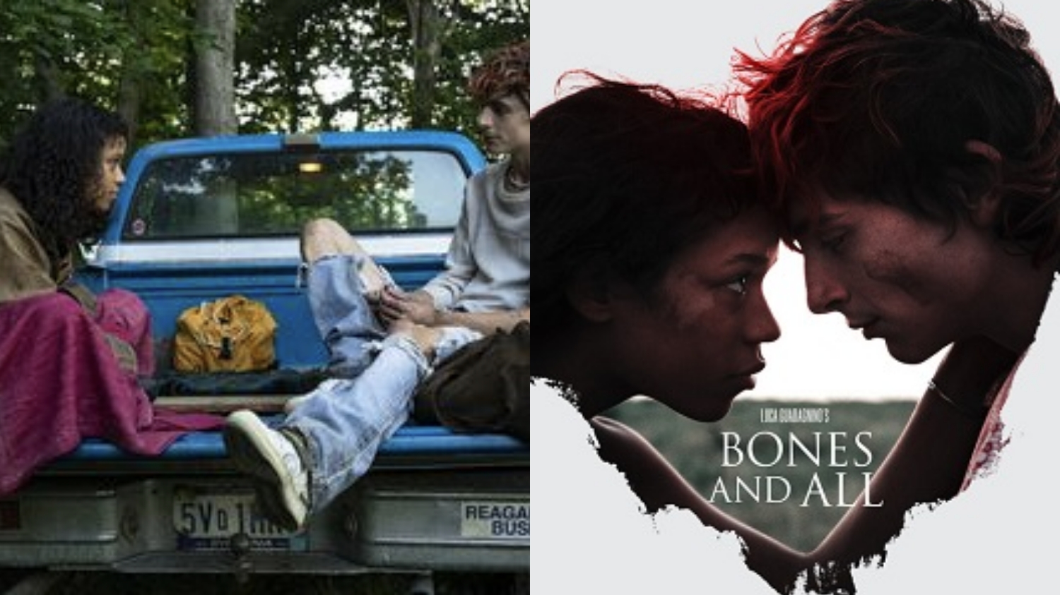 Film Bones and All Kisah Gadis Kanibal yang Jatuh Cinta, Simak Sinopsisnya Disini