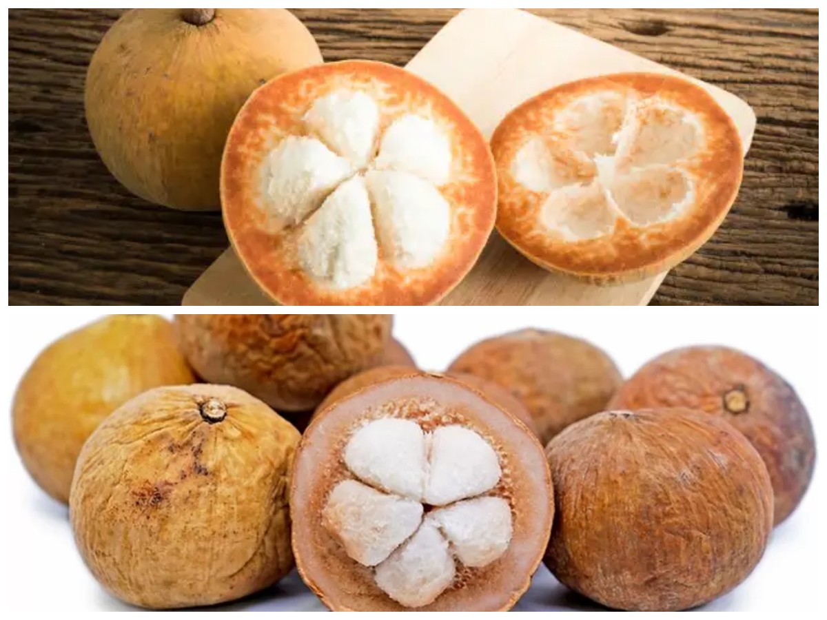 Kecapi untuk Tubuh Sehat: Manfaat, Nutrisi, dan Perlindungan Jantung secara Alami