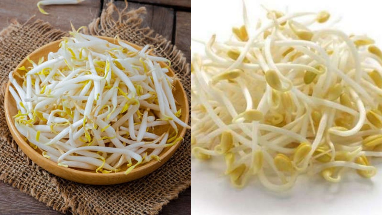 Rutin Konsumsi Toge, Ini Deretan Manfaatnya untuk Kesehatan Tubuh!