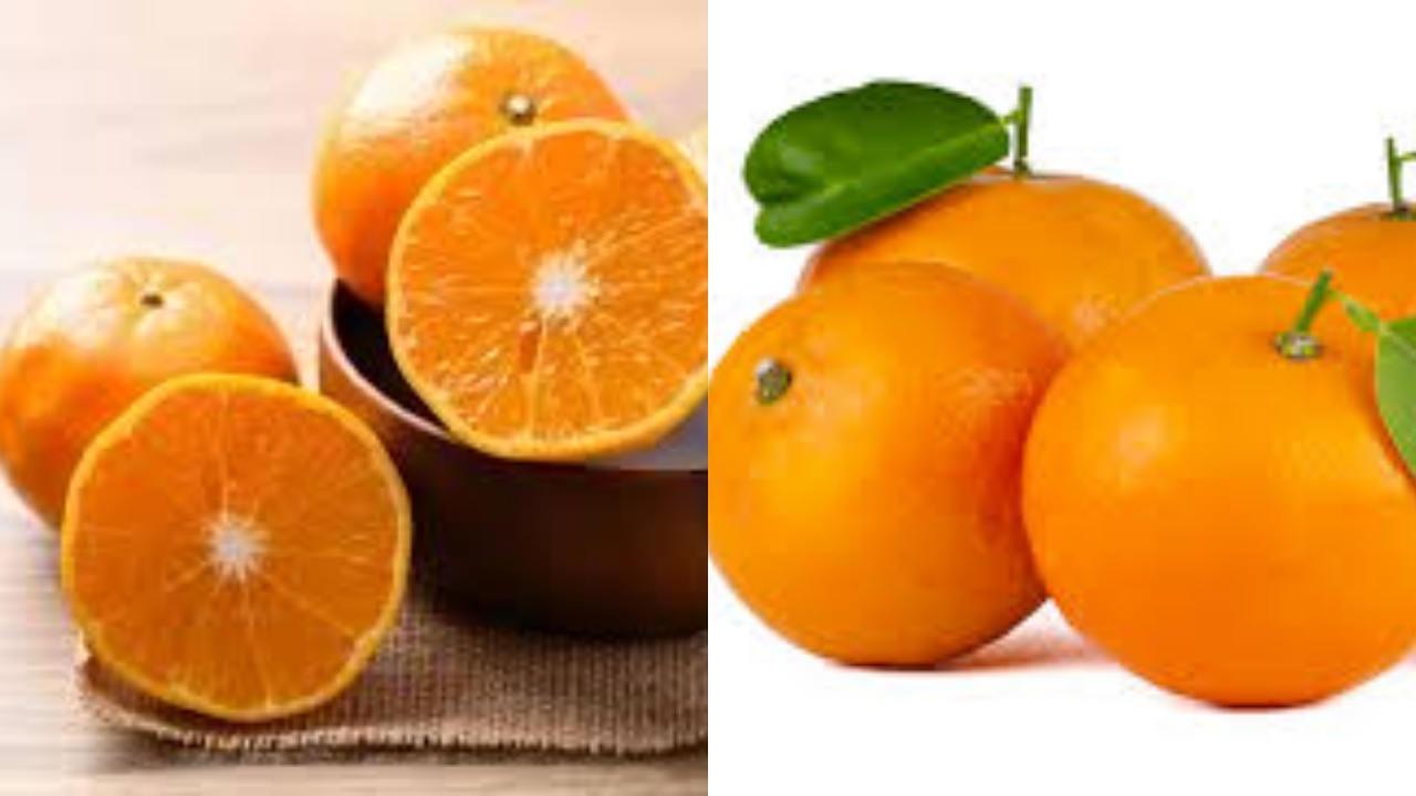 Selain Vitamin C Teryata Ini Guys Manfaat Jeruk Untuk Kesehatan Yang Jarang Diketahui!