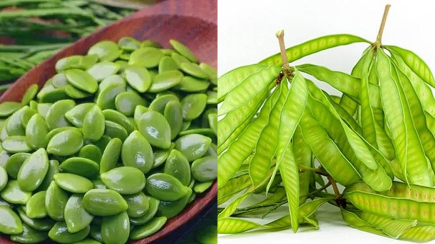 Menurunkan Kadar Gula Darah Inilah Manfaat Dari Petai Cina Yang Jarang Diketahui! 