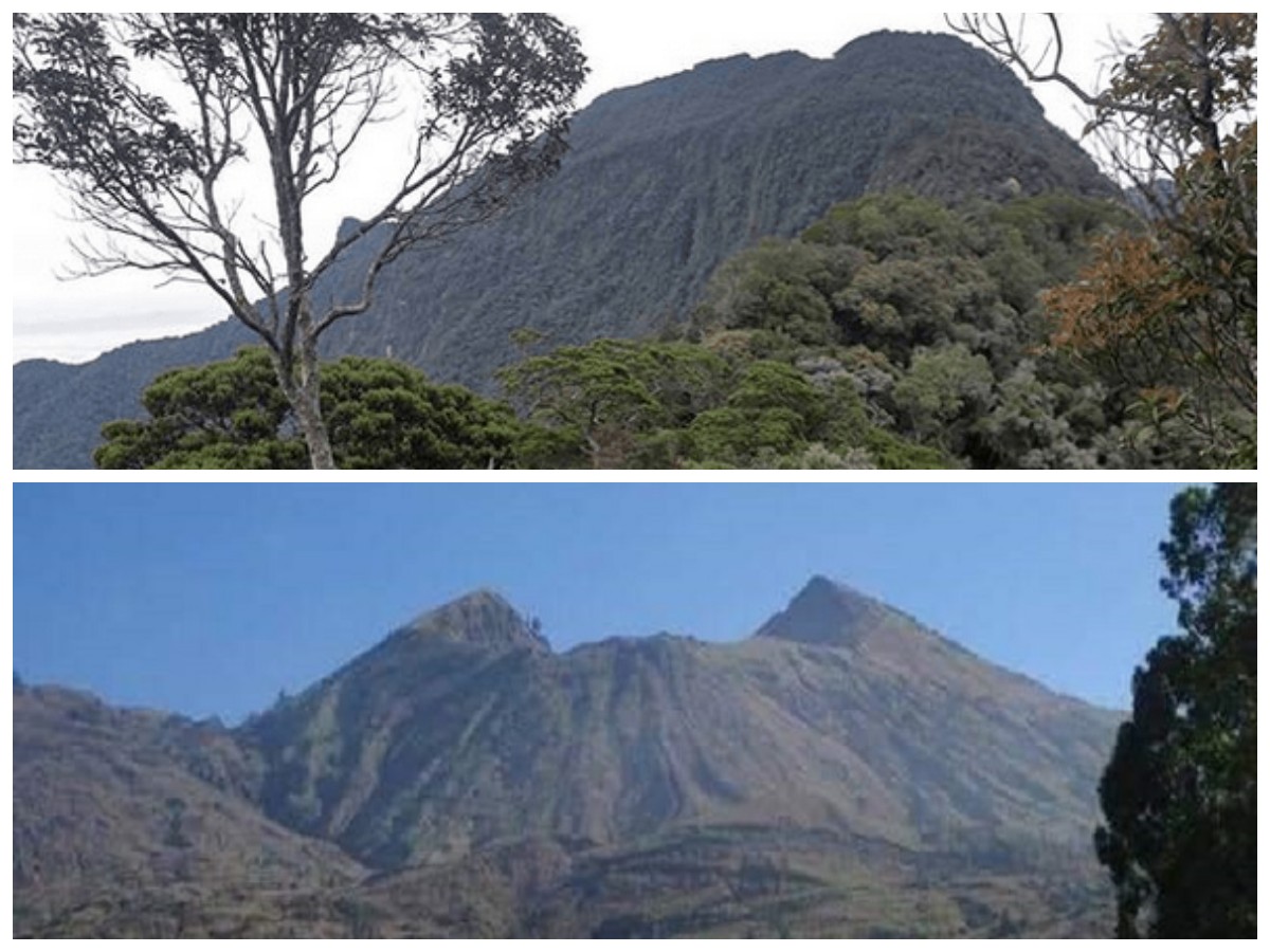 Menelusuri Sejarah Gunung Bukit Raya: Permata Tersembunyi di Jantung Kalimantan!