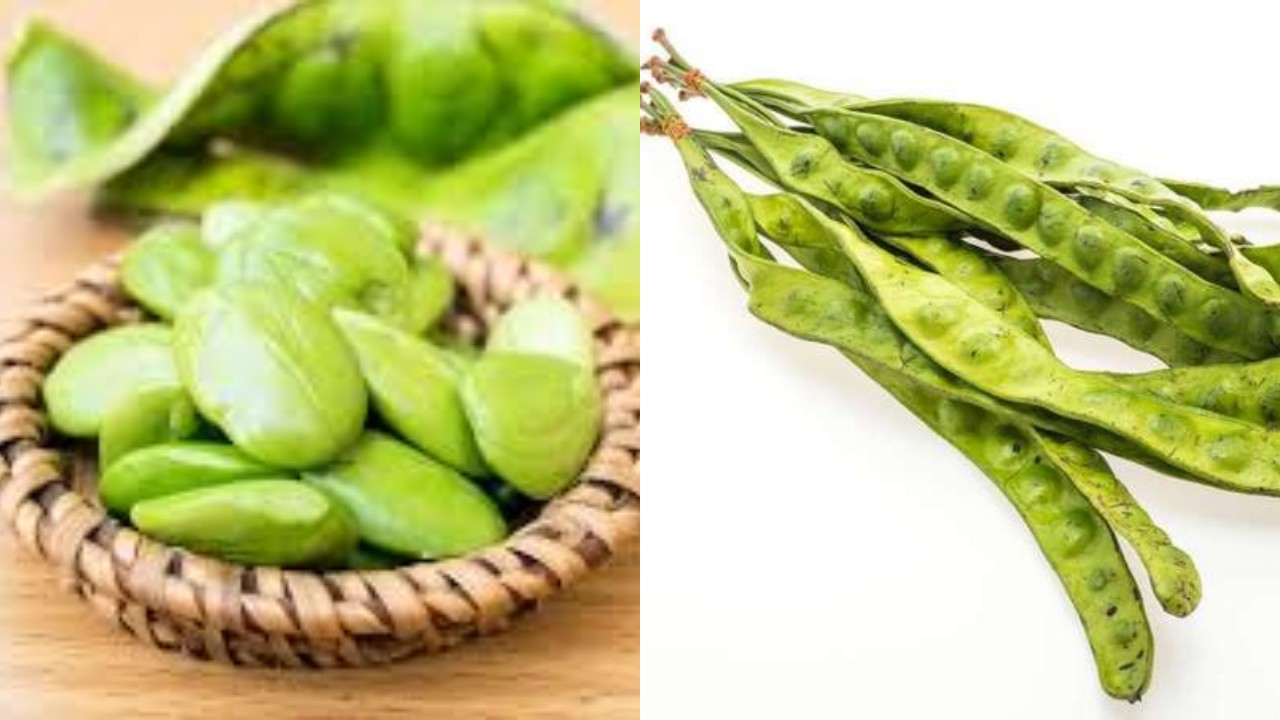 Jangan Remehkan Petai! Ini Dia Segudang Manfaatnya untuk Kesehatan Tubuh Anda