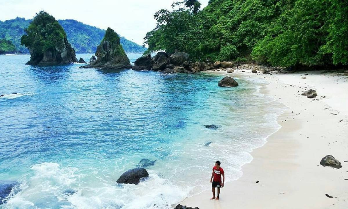 Explore Keindahan Alam! Liburan Keluarga Terbaik di Pantai Mliwis Kebumen Jawa Tengah