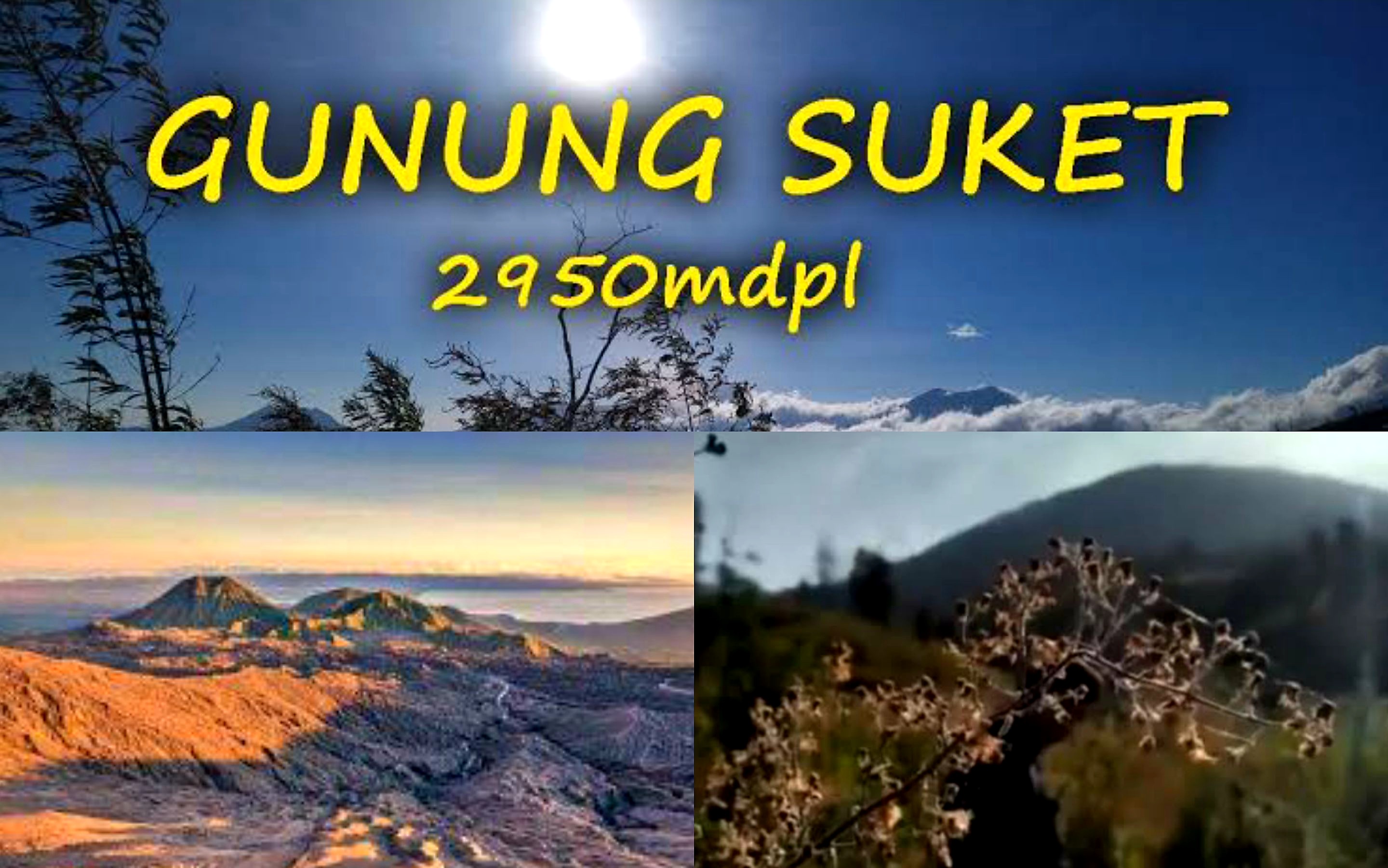 Gunung Suket: Misteri Keindahan Alam Liar di Ujung Jawa Timur 