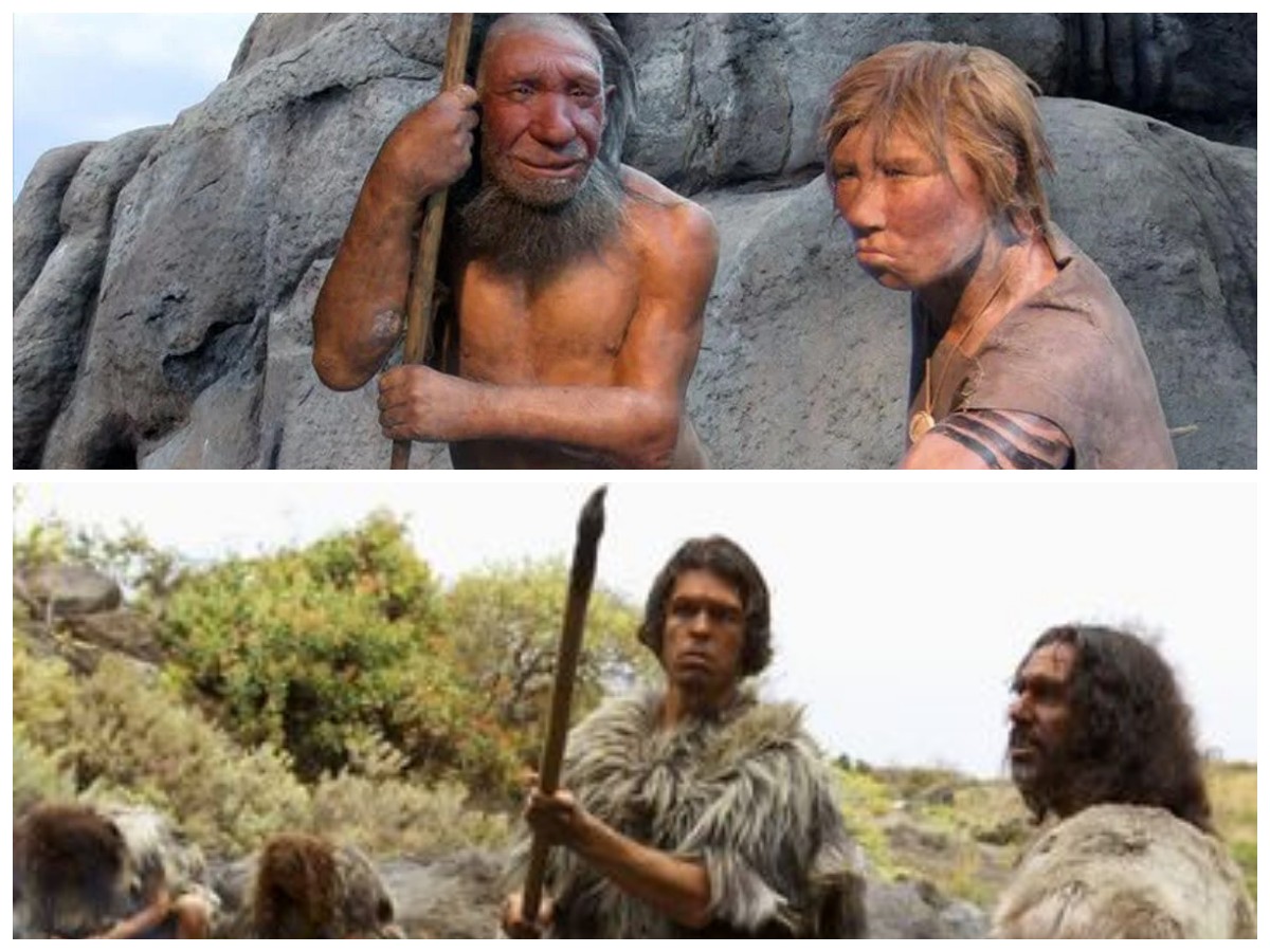 Misteri Asal Usul Homo Sapiens: Menelusuri Titik Awal Kehidupan Manusia di Bumi