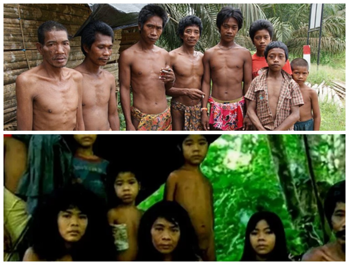 Sejarah Tradisi Perkawinan Sedarah Suku Polahi: Warisan Isolasi dan Tantangan Budaya di Pedalaman Gorontalo!