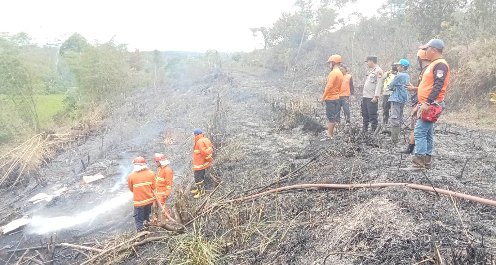 Kawasan Bedeng Kresek Diamuk di Jago Merah, Waspada Karhutla