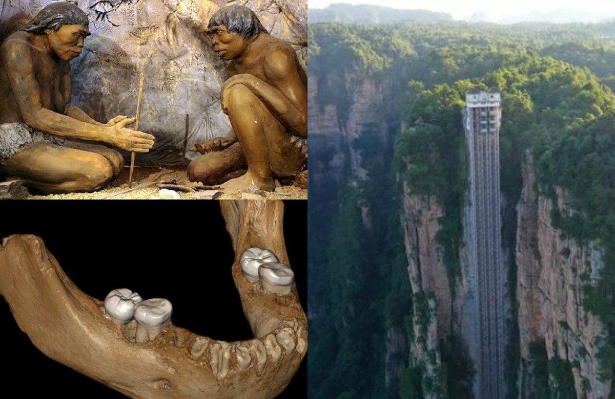 Temuan Kuno di China Mengubah Sejarah: Penemuan yang Mengungkap Jejak Peradaban Manusia Lebih Tua!