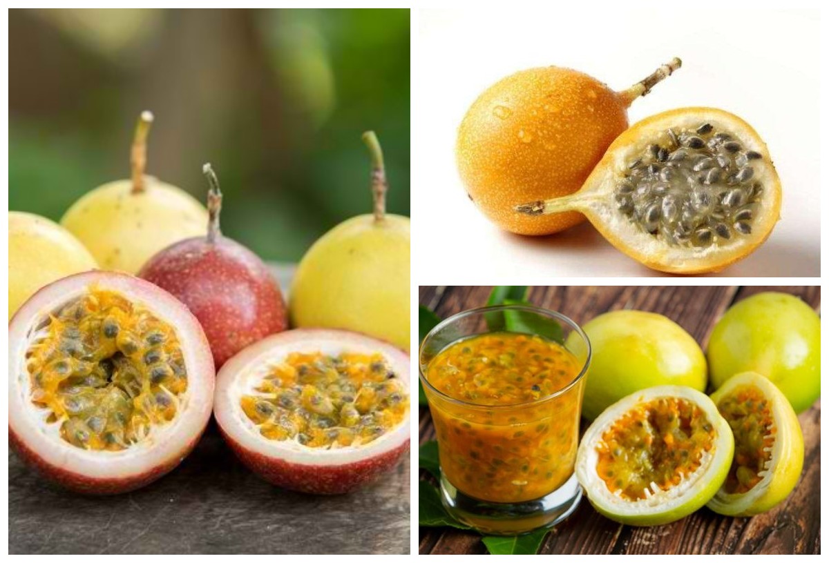 Mengulik Manfaat Buah Markisa Bagi Kesehatan Tubuh!