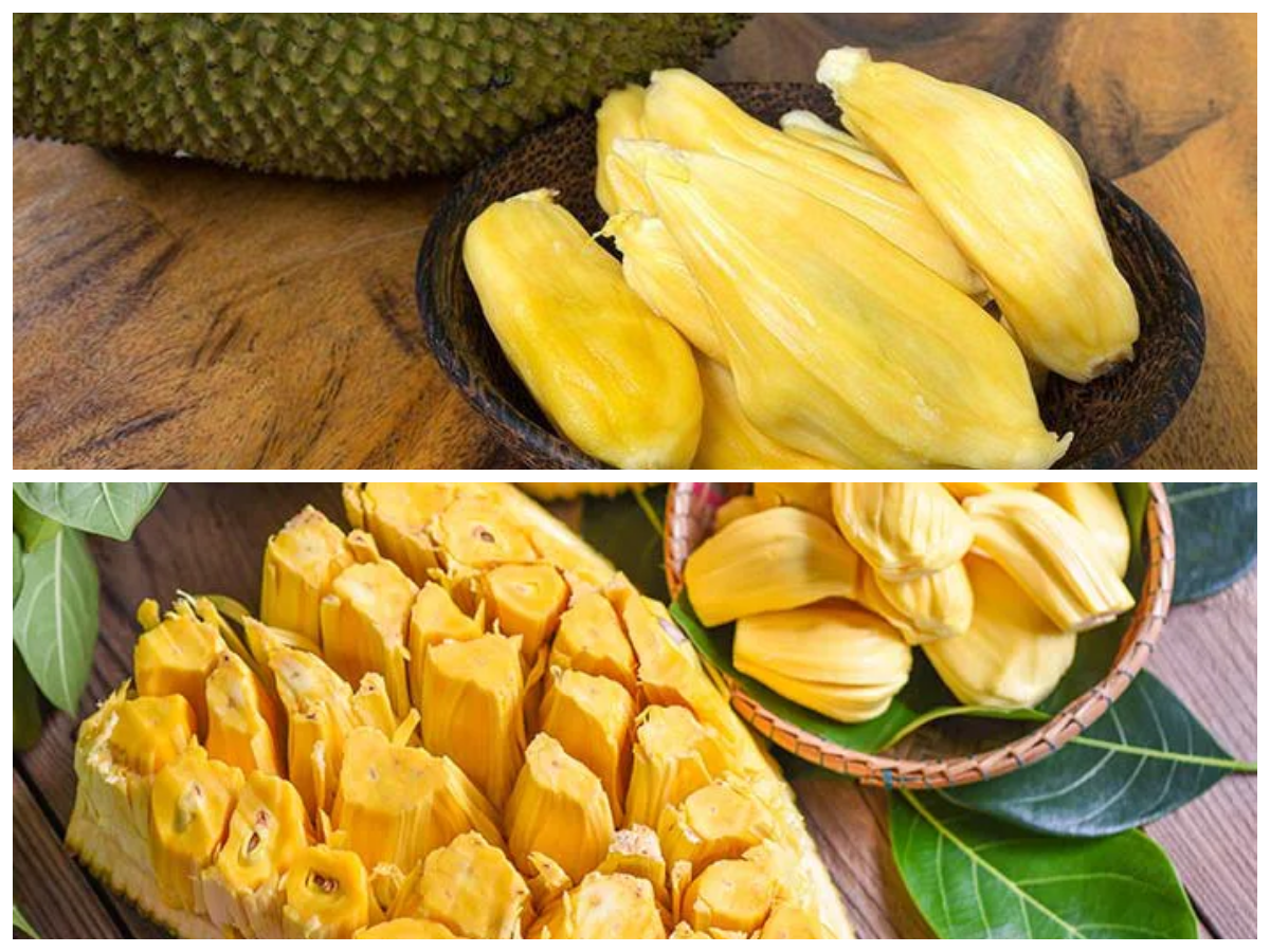 Rahasia Khasiat Buah Nangka: Superfood yang Baik untuk Tubuh dan Kesehatan