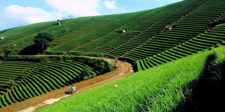 Indonesia, Majalengka, Surga Tersembunyi di Jantung Jawa Barat, Keindahan Alam yang Menakjubkan, Cus Hiling