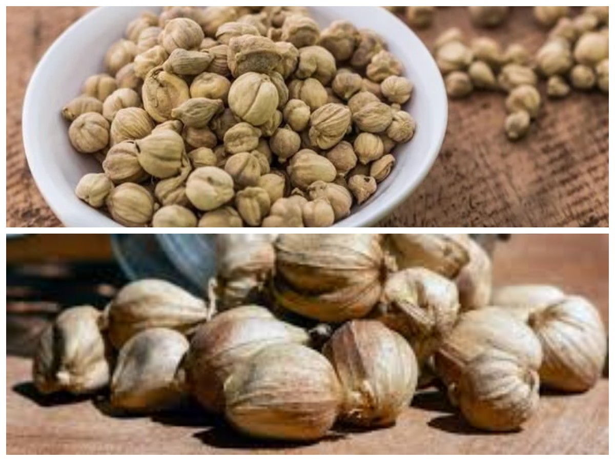 Lebih dari Sekadar Bumbu: Ini Khasiat Ajaib Kapulaga yang Jarang Diketahui!