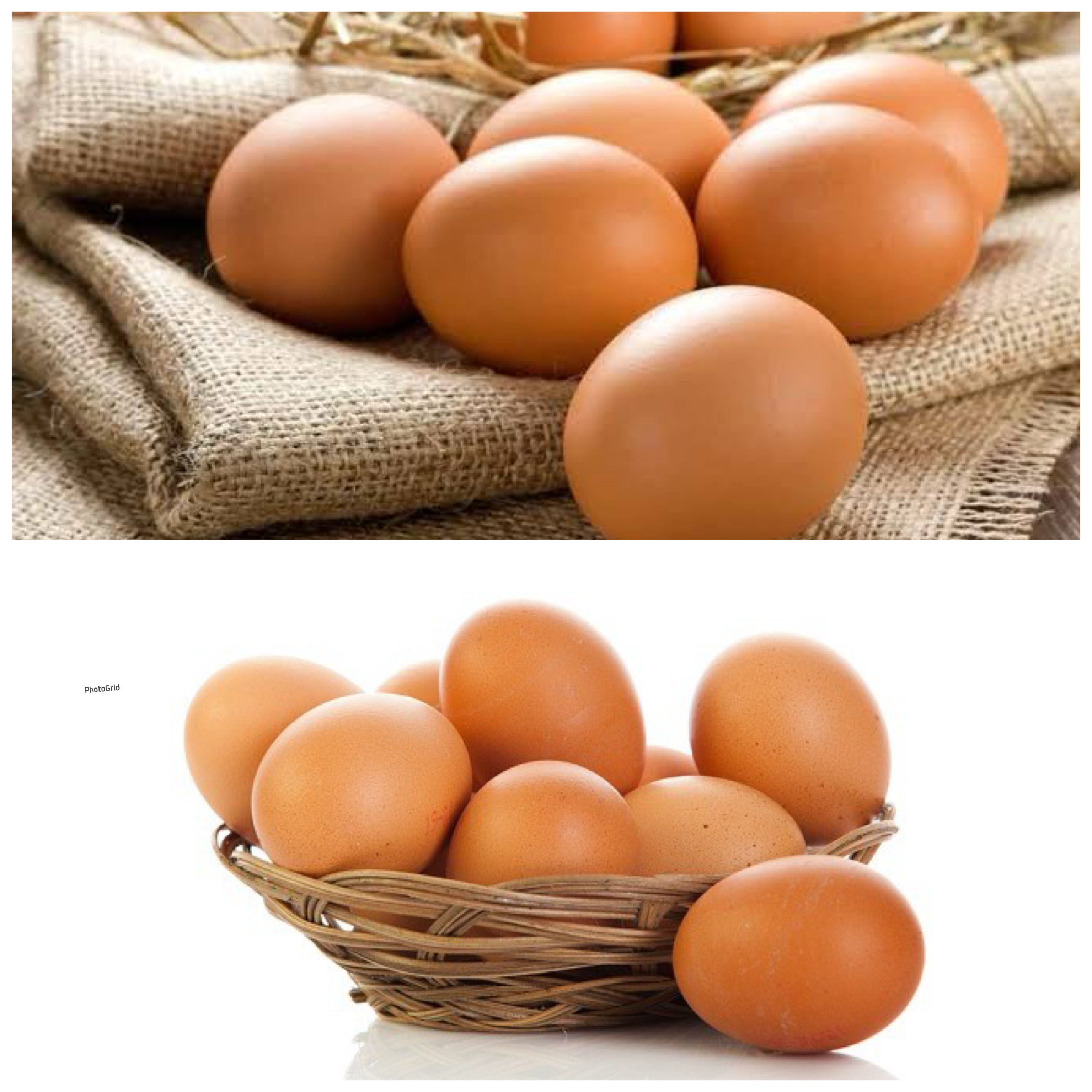 Manfaat Telur Ayam bagi Kesehatan Tubuh: Sumber Nutrisi Lengkap untuk Menunjang Hidup Sehat!