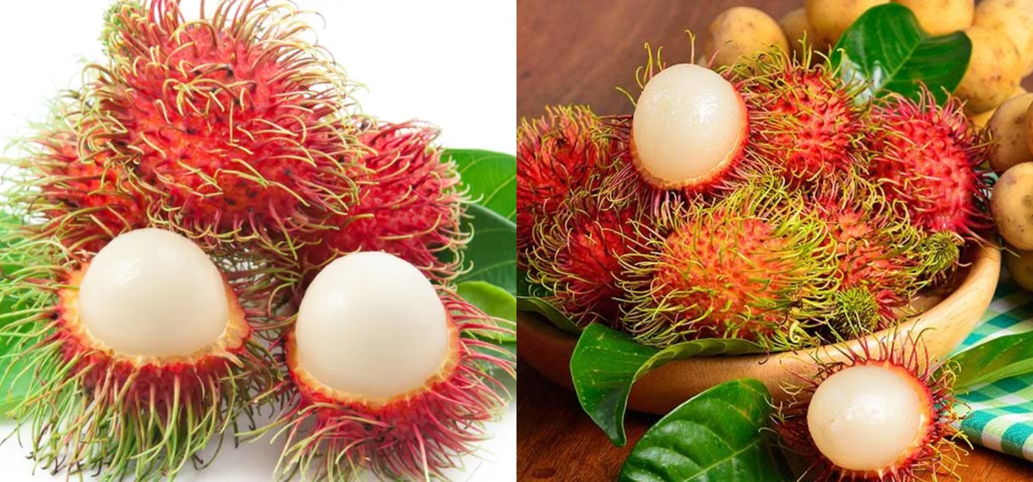 Manfaat Rajin Makan Rambutan, Buah Manis yang Bikin Sehat dan Segar