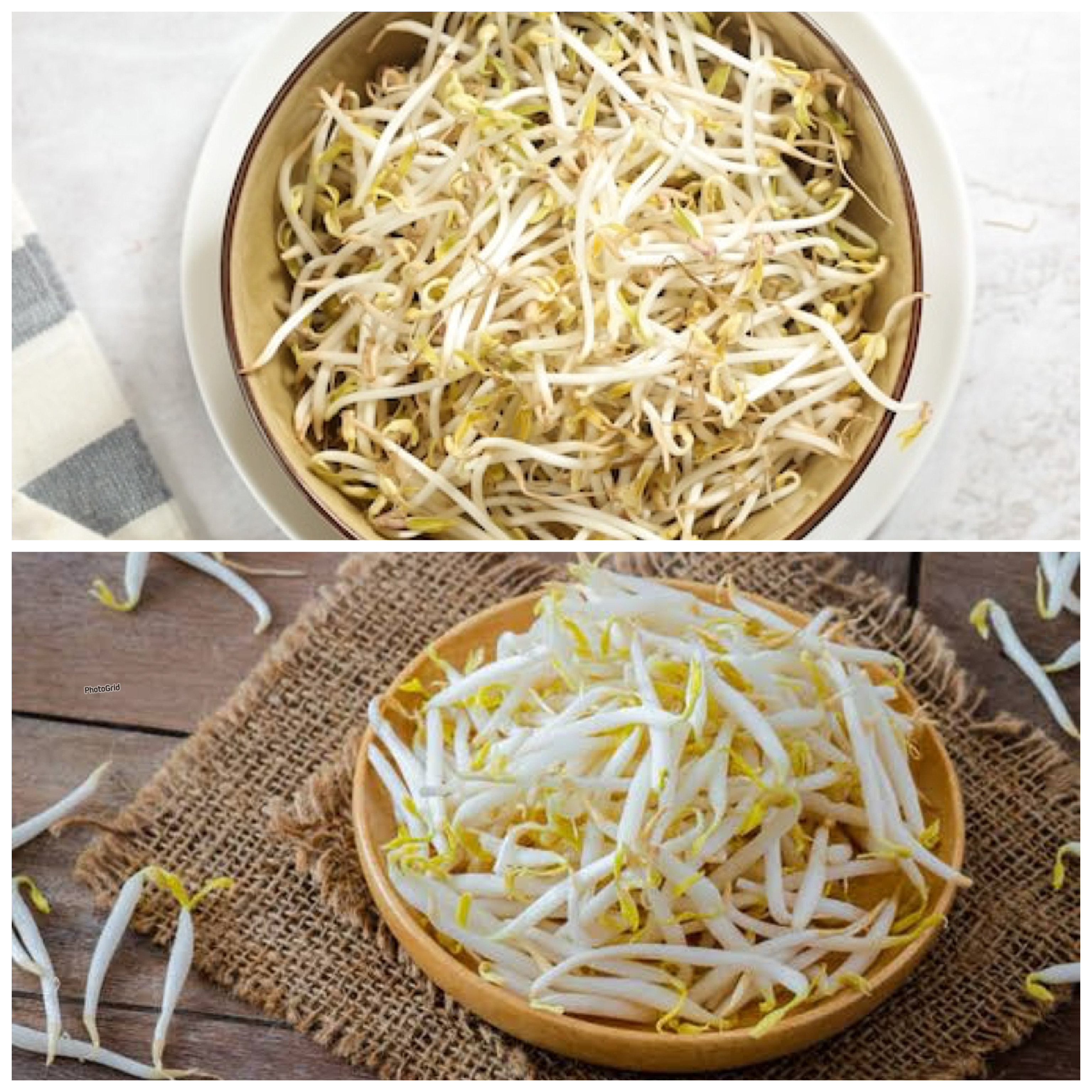 Manfaat Tauge bagi Kesehatan Tubuh: Sumber Nutrisi Alami untuk Menjaga Kebugaran dan Daya Tahan!