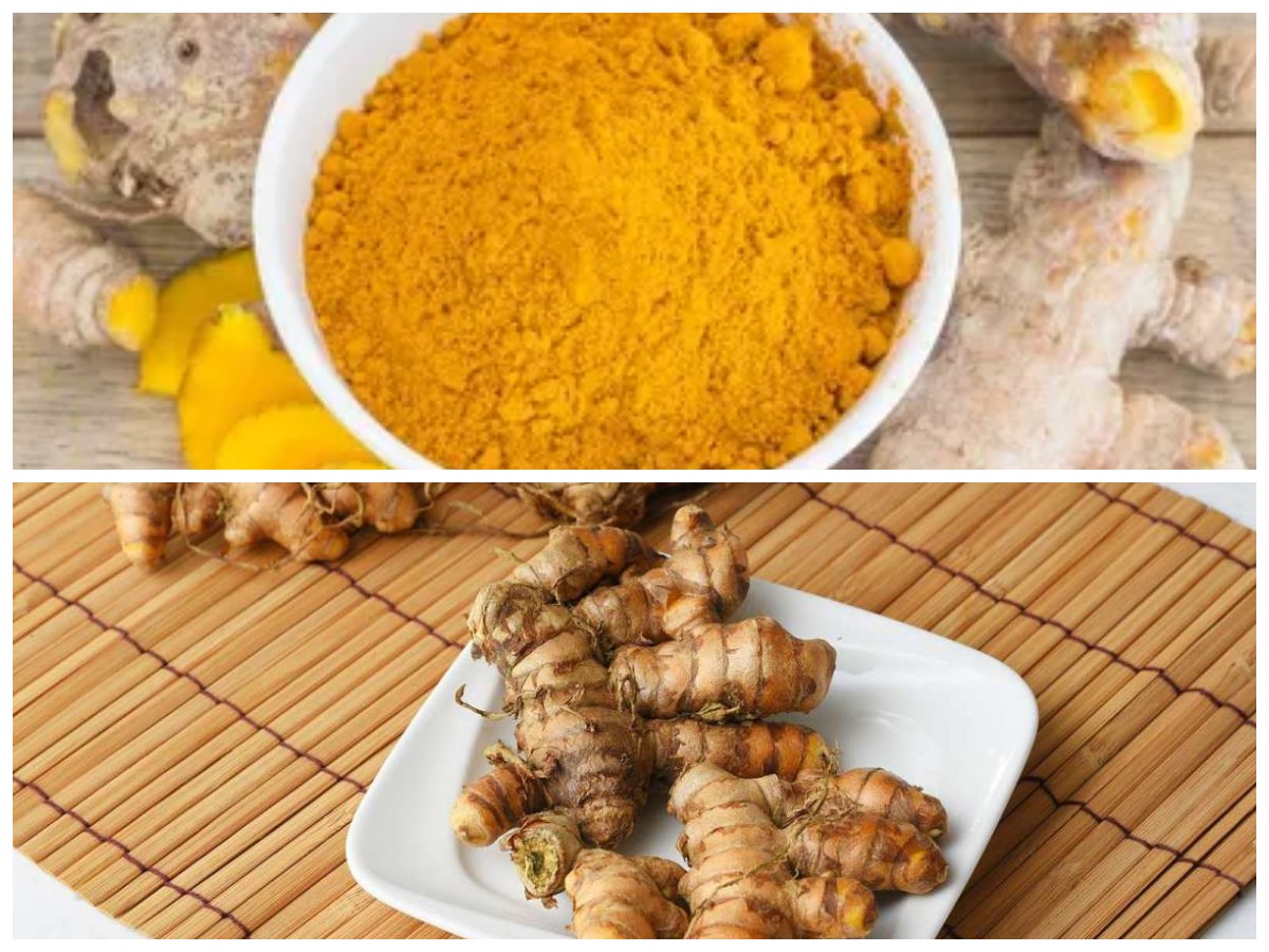 Kunyit dan Khasiatnya: Dari Meredakan Peradangan hingga Melawan Sel Kanker