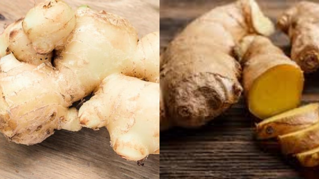 Khasiat Jahe untuk Kesehatan Tubuh dan Cara Mengolahnya Menjadi Minuman!