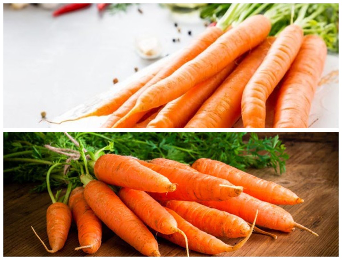 Manfaat Wortel bagi Kesehatan: Rahasia Nutrisi Si Oranye untuk Tubuh yang Lebih Sehat!
