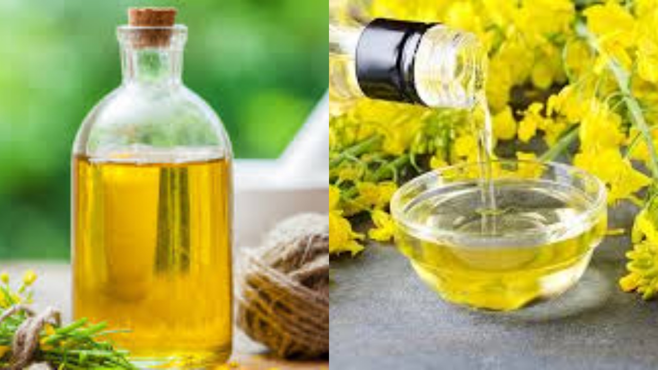  Harus Tahu Ini Manfaat Minyak Kanola Untuk Kesehatan Jantung Anak!