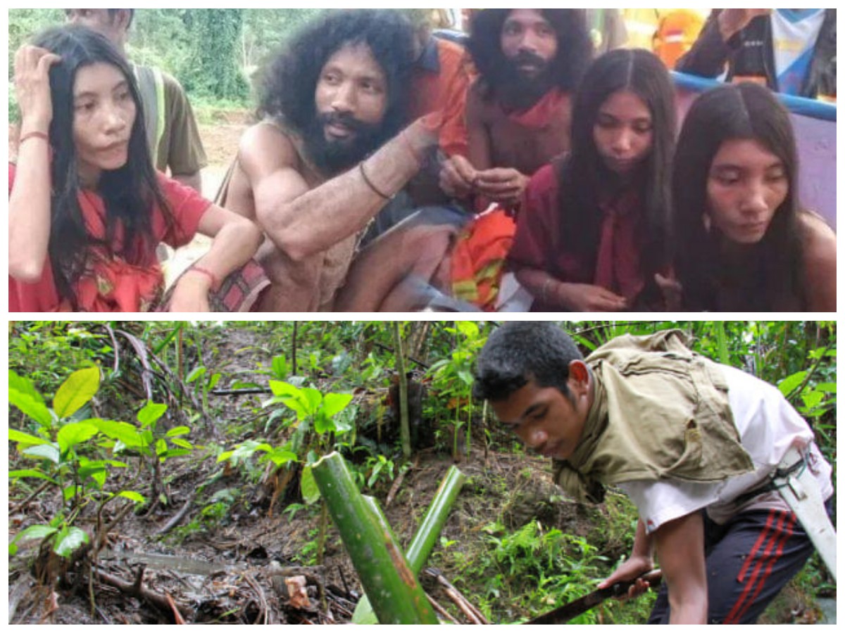 Suku Tugotil, Pelestari Hutan Asli Pulau Halmahera, Maluku