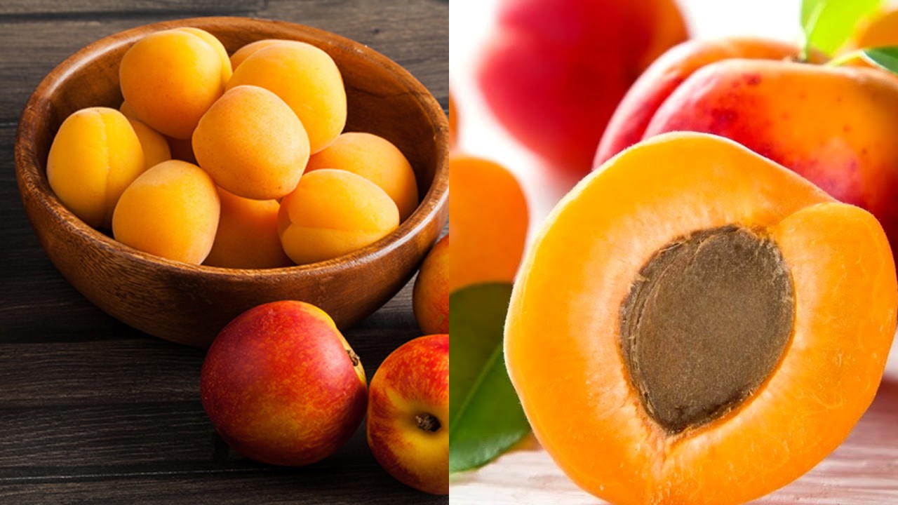 Manfaat Buah Aprikot: Penting untuk Kesehatan dan Layak Masuk Menu Harian