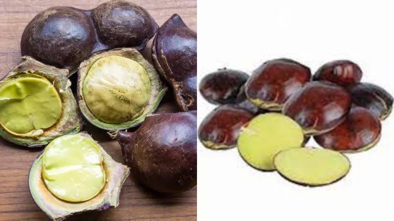 Yuk Ketahui! Ini 5 Manfaat Jengkol Untuk Kesehatan Tubuh Yang Luar Biasa